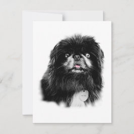 Pekingese Stationery - blanco kaart "Mork" Notitiekaartje