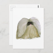 Pekingese, tonifernandes briefkaart (Voorkant / Achterkant)