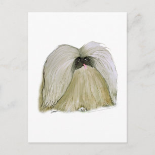 Pekingese, tonifernandes briefkaart