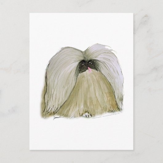 Pekingese, tonifernandes briefkaart (Voorkant)