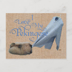 Pekingese touwtrekken briefkaart