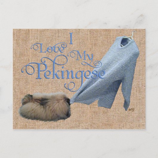 Pekingese touwtrekken briefkaart (Voorkant)