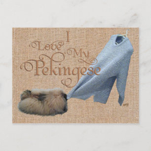 Pekingese touwtrekken briefkaart