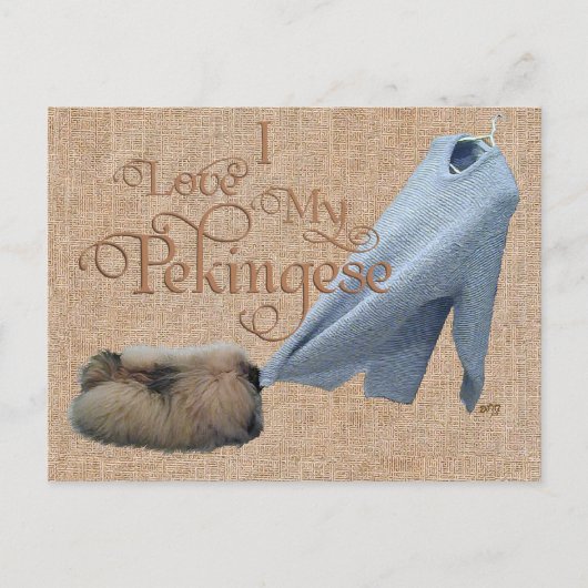 Pekingese touwtrekken briefkaart (Voorkant)