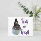 pekingese truc briefkaart (Staand voorkant)