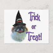 pekingese truc briefkaart (Voorkant)