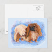 Pekingese True Blue Briefkaart (Voorkant / Achterkant)