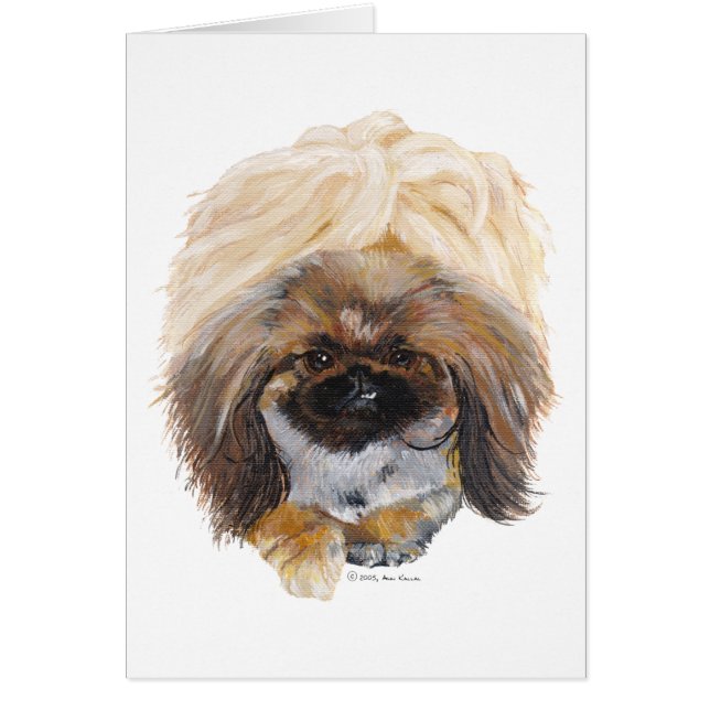 Pekingese Tuffy (Voorkant)