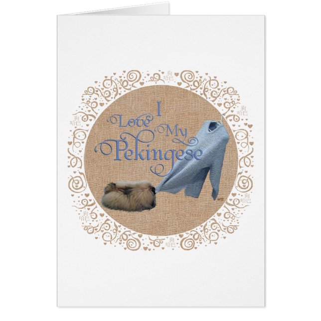 Pekingese Tug-O-War (Voorkant)