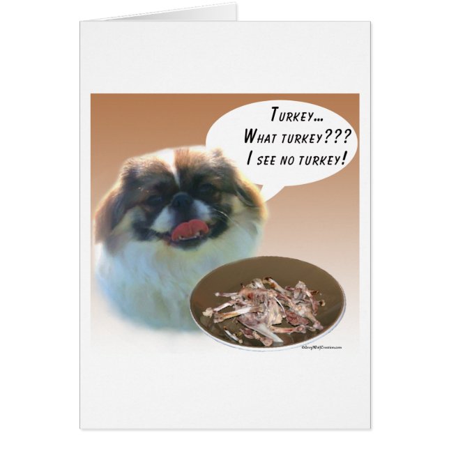 Pekingese Turkije (Voorkant)