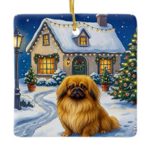 Pekingese Vakantie 