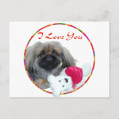 Pekingese Valentijn Feestdagenkaart (Voorkant)