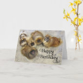 Pekingese verjaardagskaart kaart (Gele Bloem)
