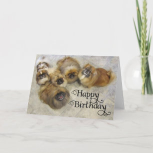 Pekingese verjaardagskaart kaart