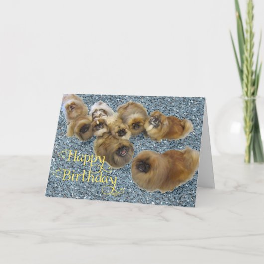 Pekingese verjaardagskaart kaart (Voorkant)