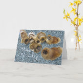 Pekingese verjaardagskaart kaart (Gele Bloem)