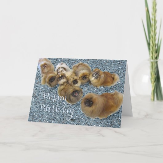 Pekingese verjaardagskaart kaart (Voorkant)
