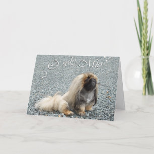 Pekingese Wenskaart Kaart