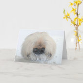 Pekingese Wenskaart Kaart (Gele Bloem)