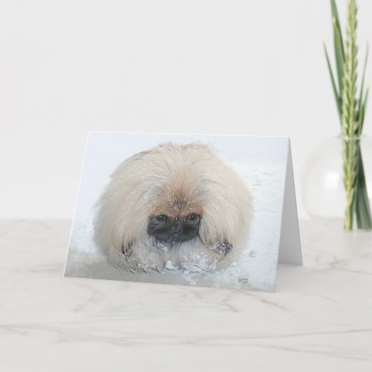 Pekingese Wenskaart Kaart (Voorkant)