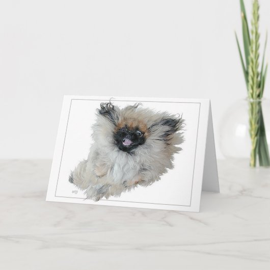 Pekingese wenskaart kaart (Voorkant)