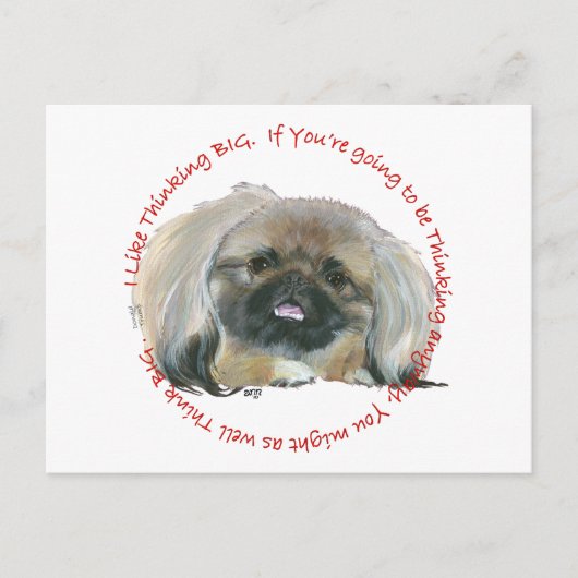 Pekingese Wijsheid - Groot Denken Briefkaart (Voorkant)