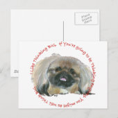 Pekingese Wijsheid - Groot Denken Briefkaart (Voorkant / Achterkant)