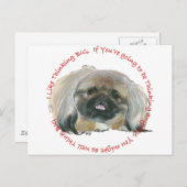 Pekingese Wisdom - Dinking BIG Briefkaart (Voorkant / Achterkant)