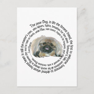 Pekingese Wisdom - en Lord Byron's Lament Briefkaart