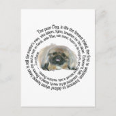 Pekingese Wisdom - en Lord Byron's Lament Briefkaart (Voorkant)