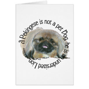 Pekingese Wisdom - Ondermaatse leeuw!