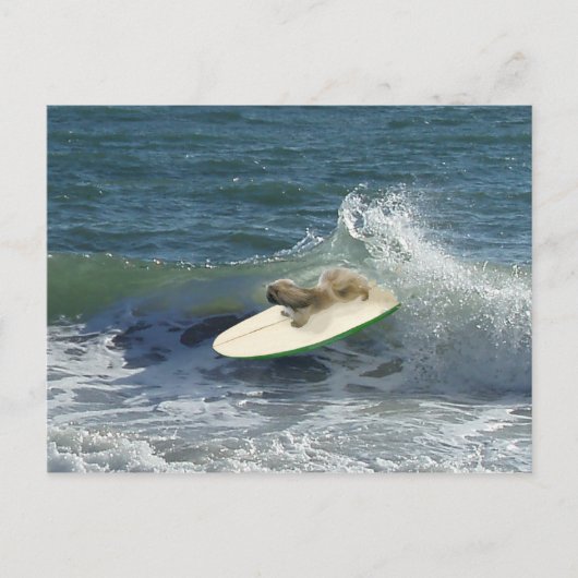 Pekingese Zeelieden Briefkaart (Voorkant)