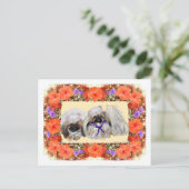 Pekingese Zeelieden Briefkaart (Staand voorkant)