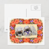 Pekingese Zeelieden Briefkaart (Voorkant / Achterkant)