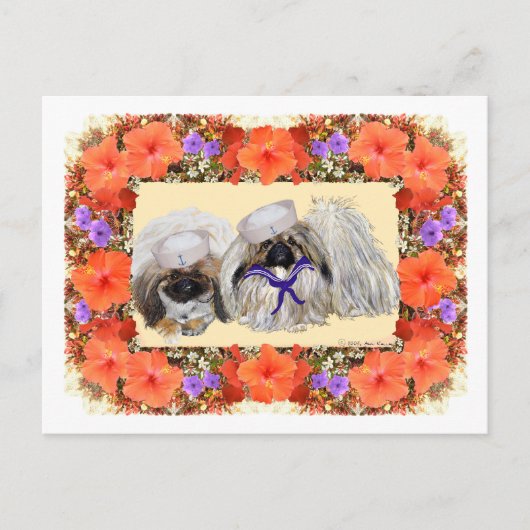 Pekingese Zeelieden Briefkaart (Voorkant)