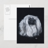Pekingese Zwart & Wit Briefkaart (Voorkant / Achterkant)