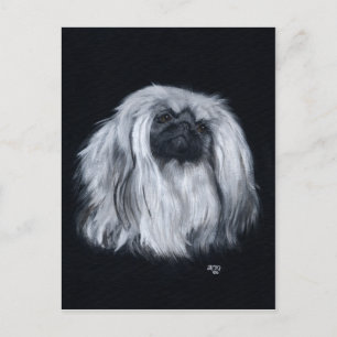 Pekingese Zwart & Wit Briefkaart