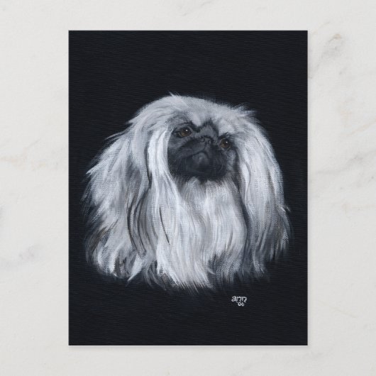 Pekingese Zwart & Wit Briefkaart (Voorkant)