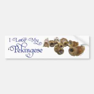 Pekingezen Groep Bumpersticker