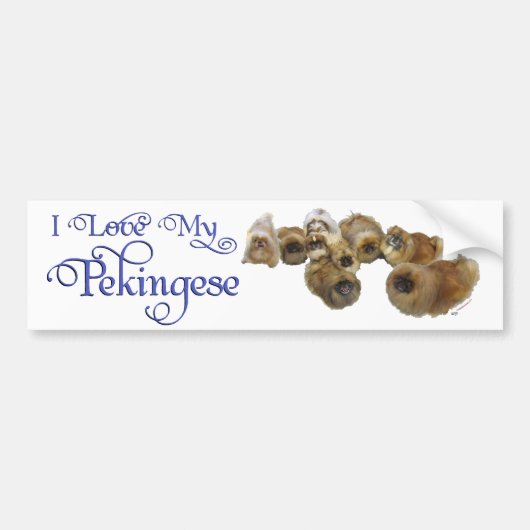 Pekingezen Groep Bumpersticker (Voorkant)