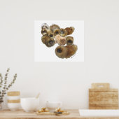 Pekingezen Groep Poster (Keuken)
