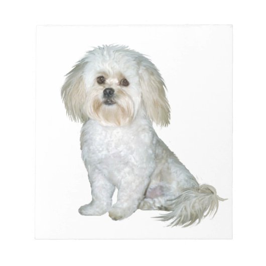 Pekkapoo (Peek-a-Poo) Notitieblok (Voorkant)