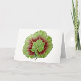 Pelargonium 'Geranium Leaf'-Wenskaart Kaart