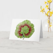 Pelargonium 'Geranium Leaf'-Wenskaart Kaart (Gele Bloem)
