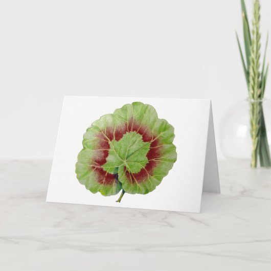 Pelargonium 'Geranium Leaf'-Wenskaart Kaart (Voorkant)