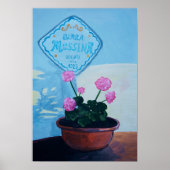 Pelargonium | Geraniums | Birra Messina | Italië | Poster (Voorkant)