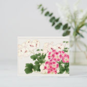 Pelargonium van Tanigami Konan Briefkaart (Staand voorkant)