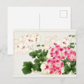 Pelargonium van Tanigami Konan Briefkaart (Voorkant / Achterkant)