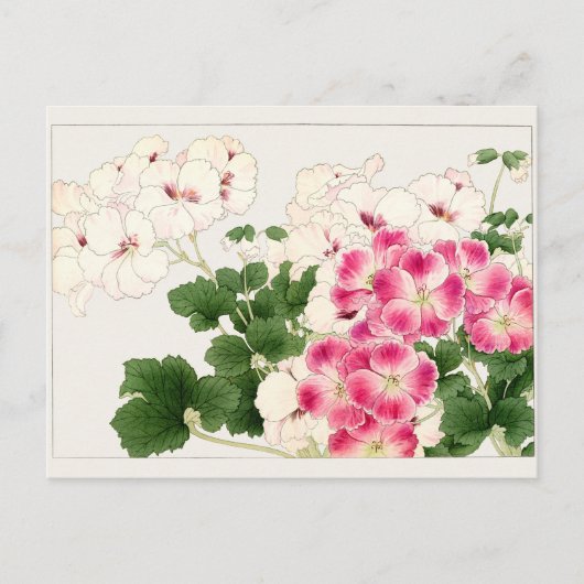 Pelargonium van Tanigami Konan Briefkaart (Voorkant)