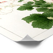 Pelargonium van Tanigami Konan Poster (Hoek)